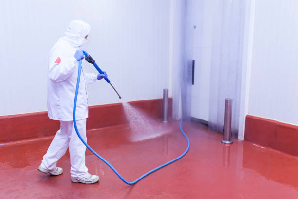 Best Sidewalk and Walkway Cleaning  in Conashaugh Lakes, PA